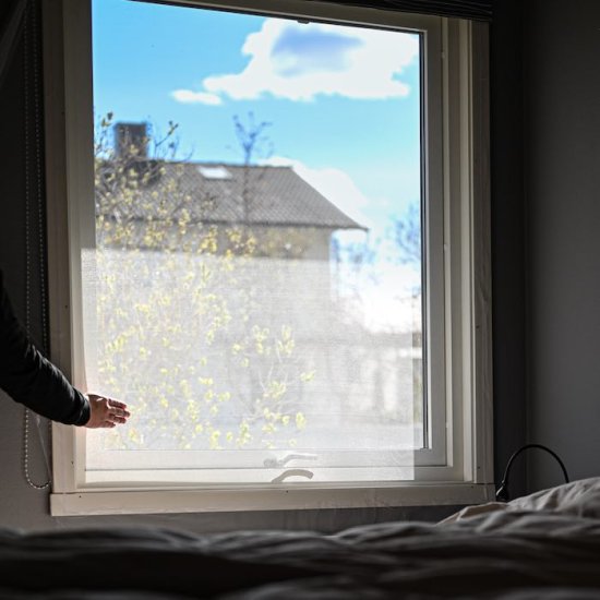 Insektsnett til vindu med borrelås - Trykk på bildet for å lukke