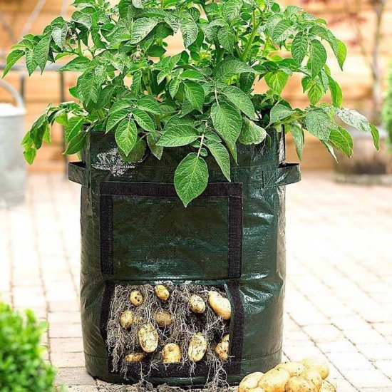 Potetbag - Plant Grow Bag - Trykk på bildet for å lukke