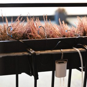 Automatisk blomstervanner